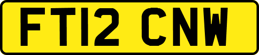 FT12CNW