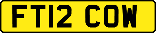 FT12COW