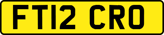 FT12CRO