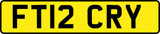 FT12CRY