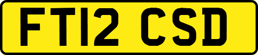 FT12CSD