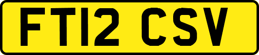 FT12CSV