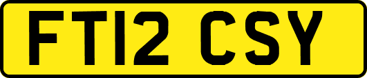 FT12CSY