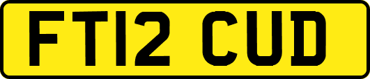 FT12CUD
