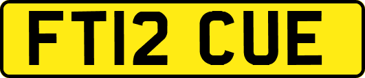 FT12CUE
