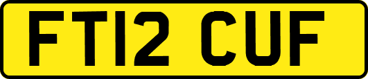 FT12CUF