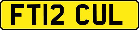 FT12CUL