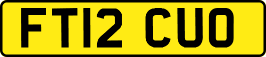 FT12CUO