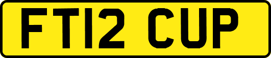 FT12CUP