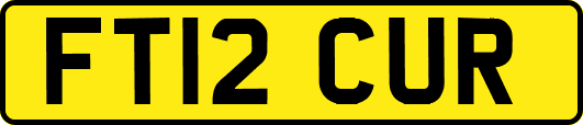 FT12CUR