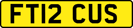 FT12CUS