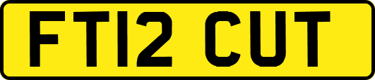 FT12CUT