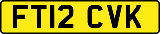 FT12CVK
