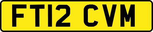 FT12CVM