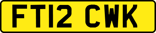 FT12CWK
