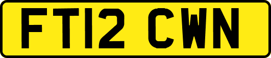FT12CWN