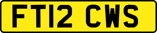 FT12CWS
