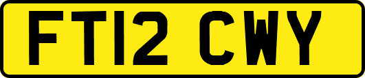 FT12CWY