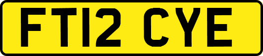 FT12CYE