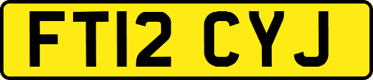 FT12CYJ