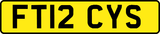 FT12CYS