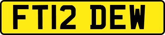 FT12DEW