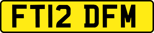 FT12DFM