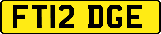FT12DGE