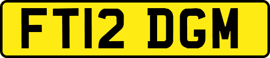 FT12DGM