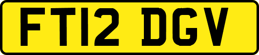 FT12DGV