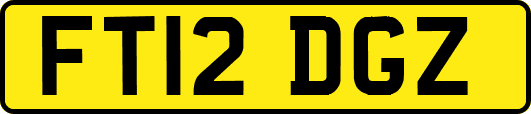FT12DGZ