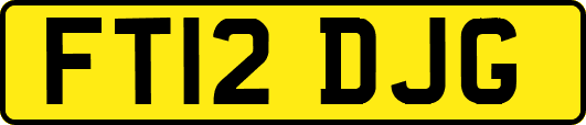 FT12DJG