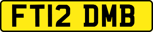 FT12DMB