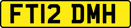 FT12DMH