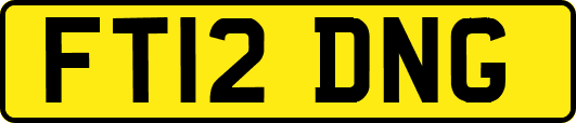 FT12DNG