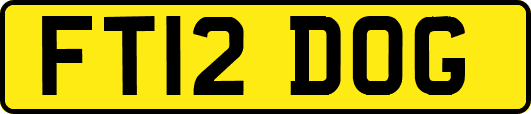 FT12DOG