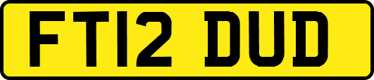 FT12DUD