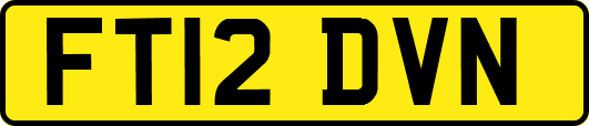 FT12DVN
