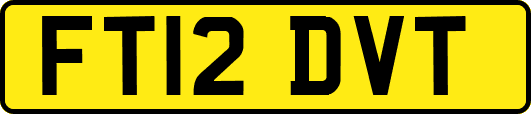 FT12DVT