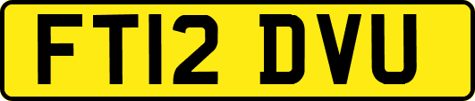 FT12DVU