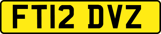FT12DVZ
