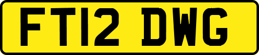 FT12DWG