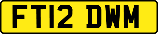 FT12DWM