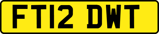 FT12DWT