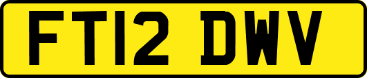 FT12DWV