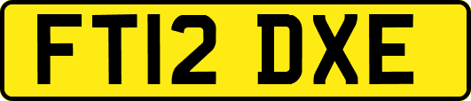 FT12DXE