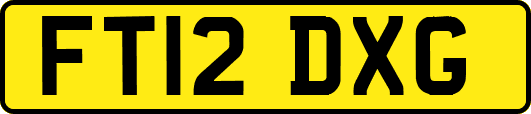 FT12DXG