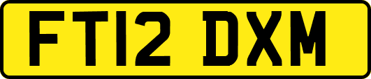 FT12DXM