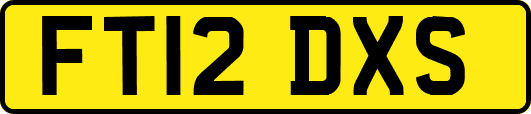 FT12DXS