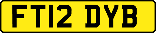 FT12DYB